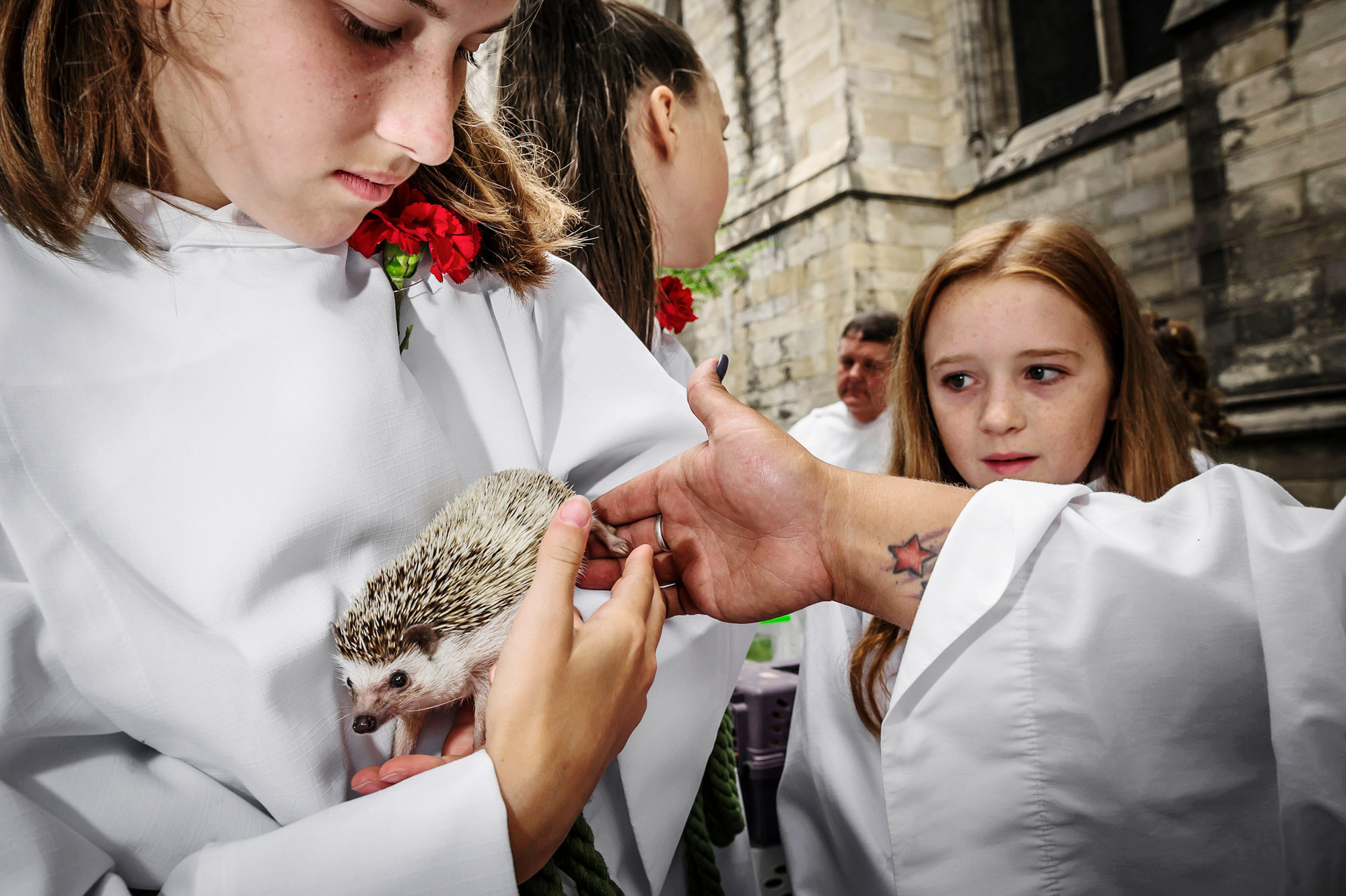 AnimalBlessing006